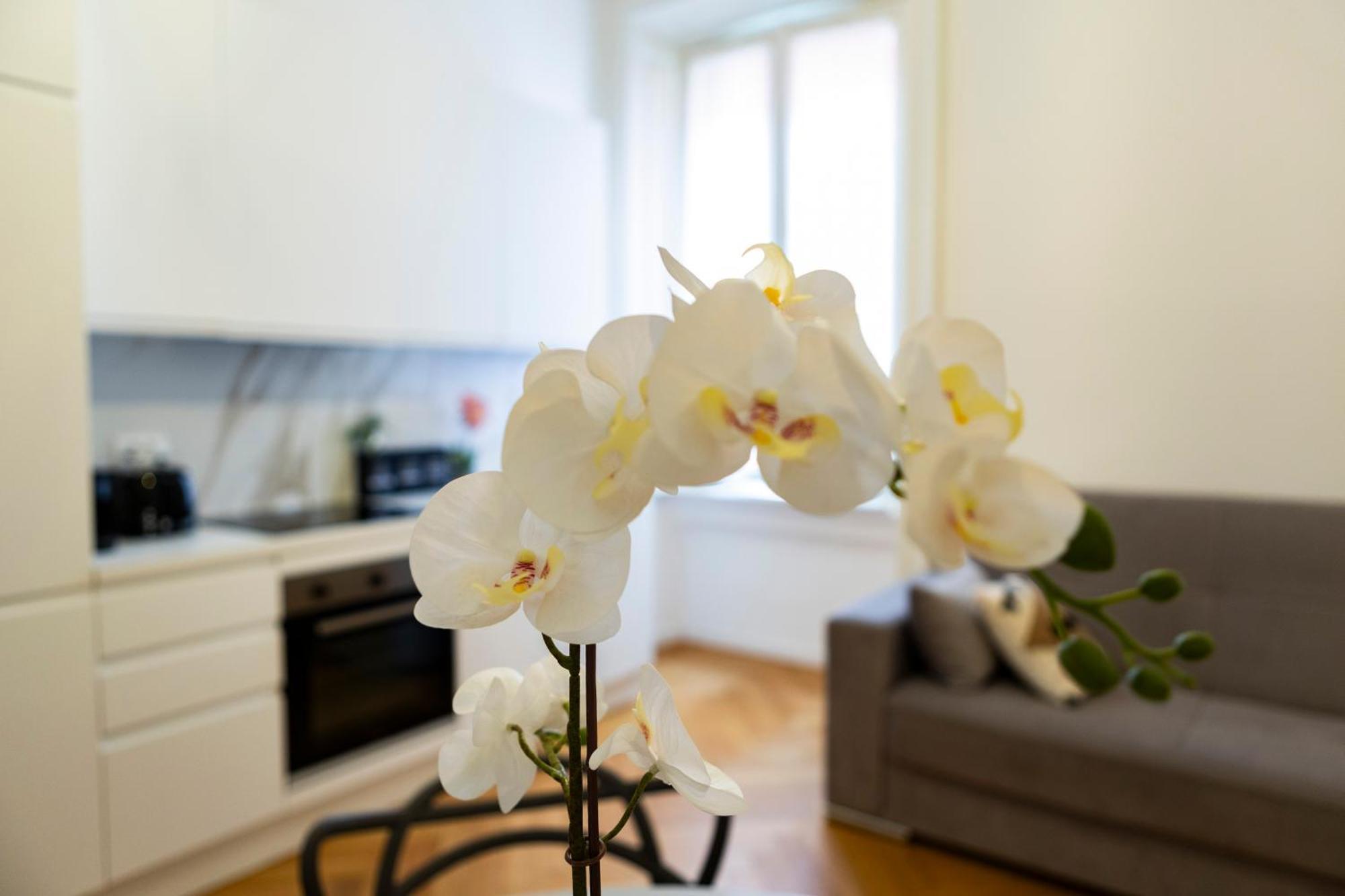 Macchi Delicious Apartment By 101Flats Milan Luaran gambar